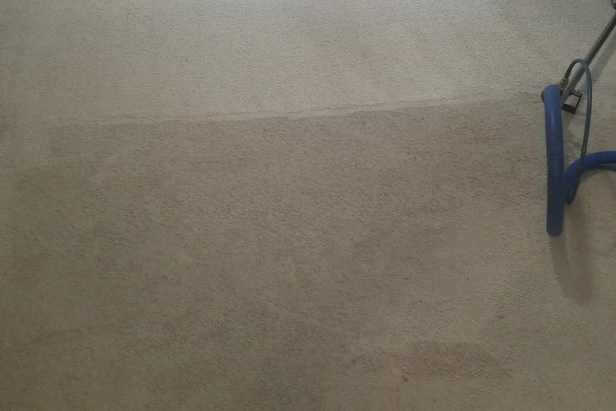 Carpet being cleaned with a professional cleaning wand