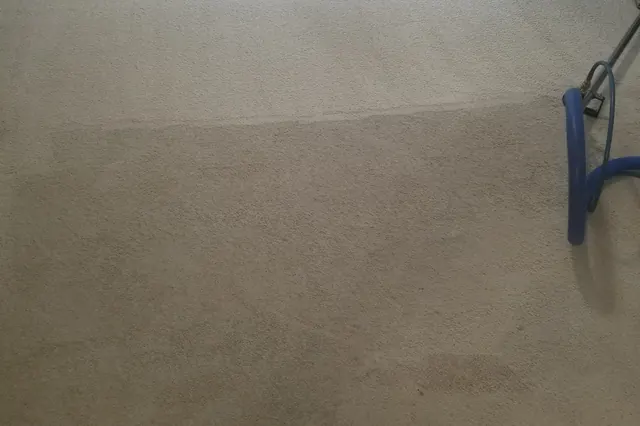 Carpet being cleaned with a professional cleaning wand