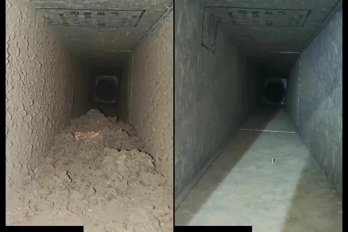 Before and after air duct cleaning: a dust-filled trunk duct and the same duct clean