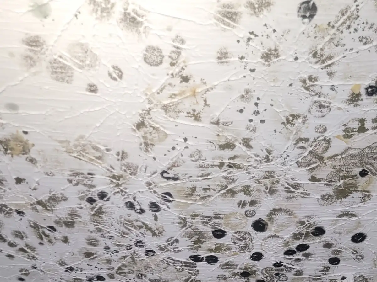 Heavy dark mold spots spread across a painted ceiling