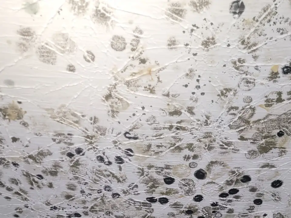 Heavy mold spots spread across a ceiling