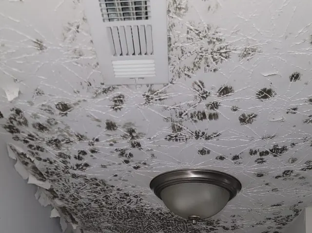 Hallway ceiling covered in mold around a vent