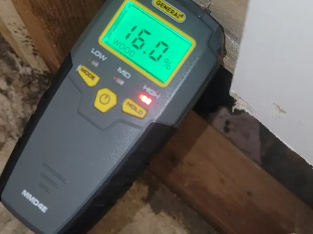 Checking moisture in a wood joist next to mold growth