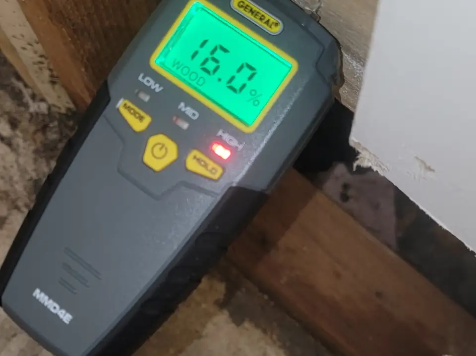 Moisture meter on a wood joist with mold behind it