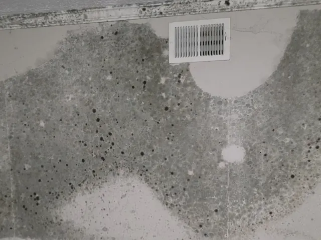 Mold across a wall around a supply vent