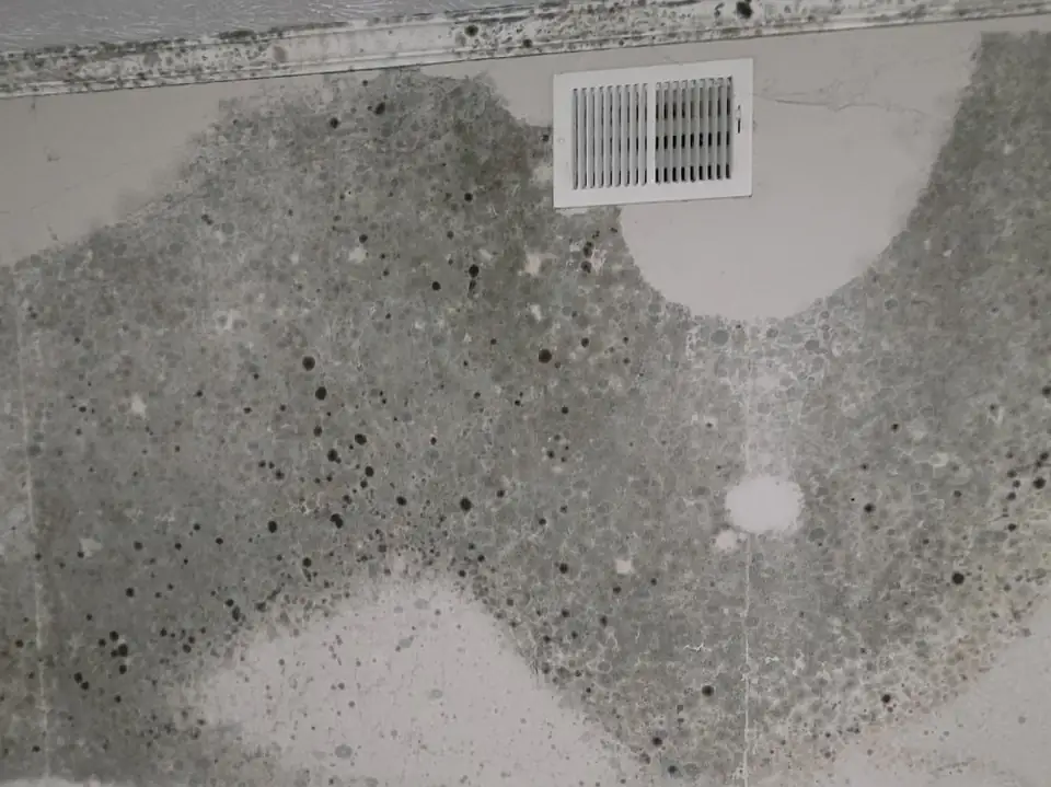 Mold growing across a wall around a supply vent
