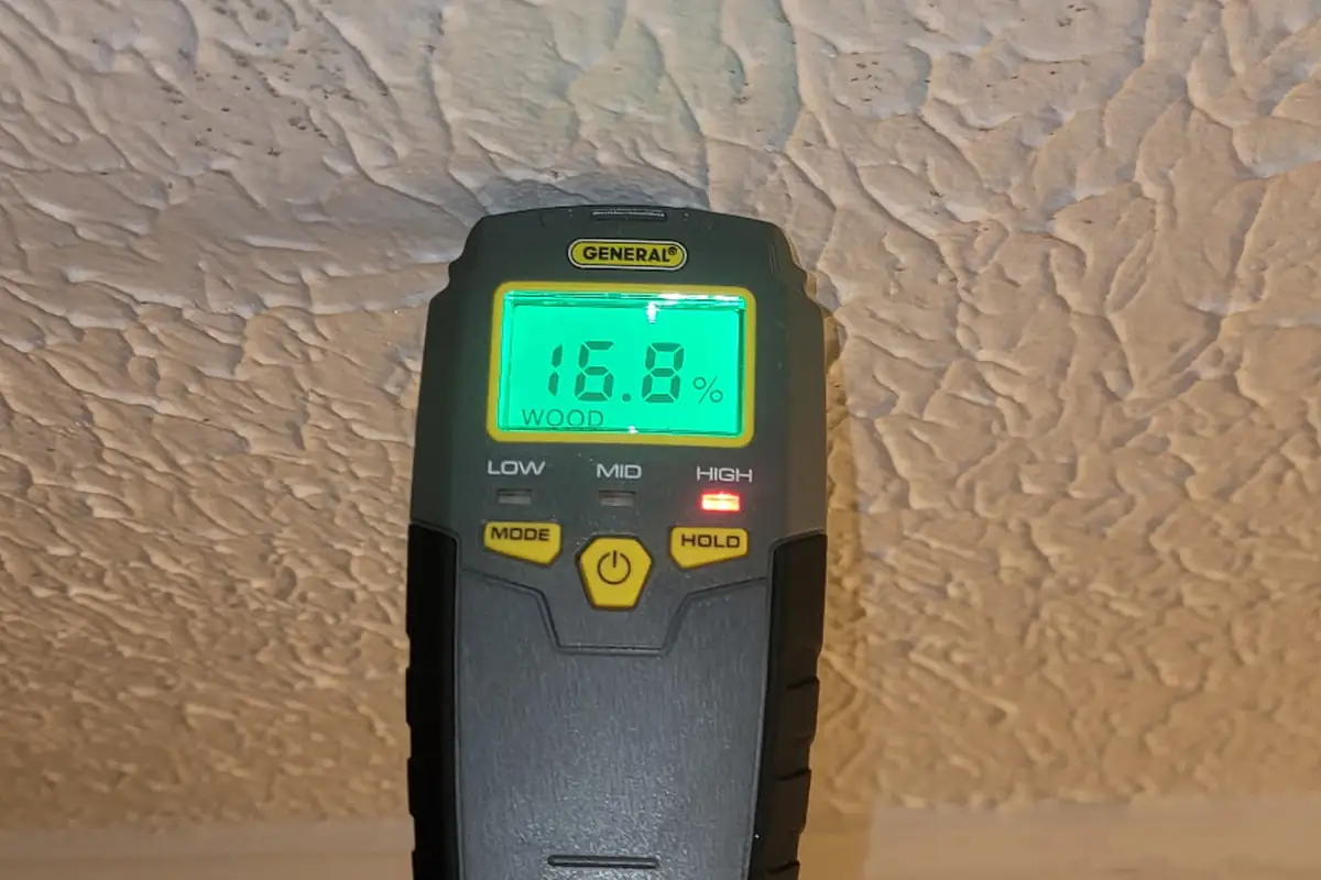 Moisture meter reading taken on a ceiling during a Fresh mold inspection