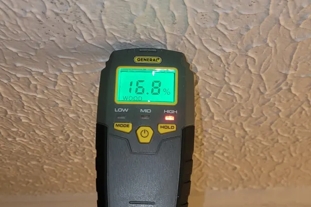 Dark mold growth on a closet ceiling