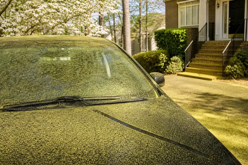 Yellow pine pollen covering cars and porches on a Gwinnett street in spring