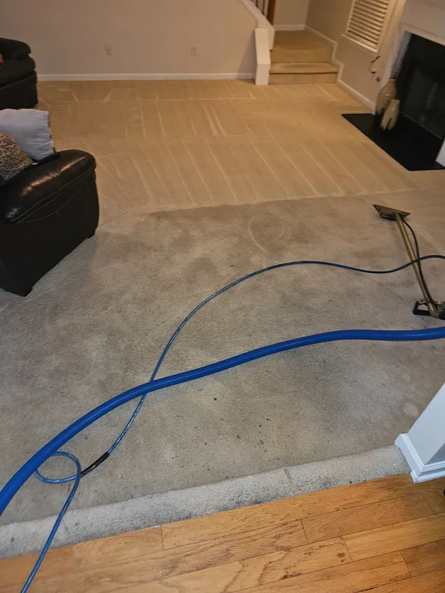 Carpet cleaning in progress in a Suwanee home