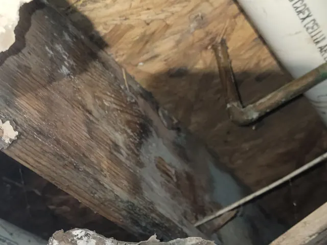 Ceiling opened to the joists to dry out a leak