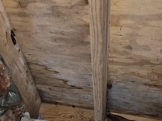 Water-stained subfloor and joists