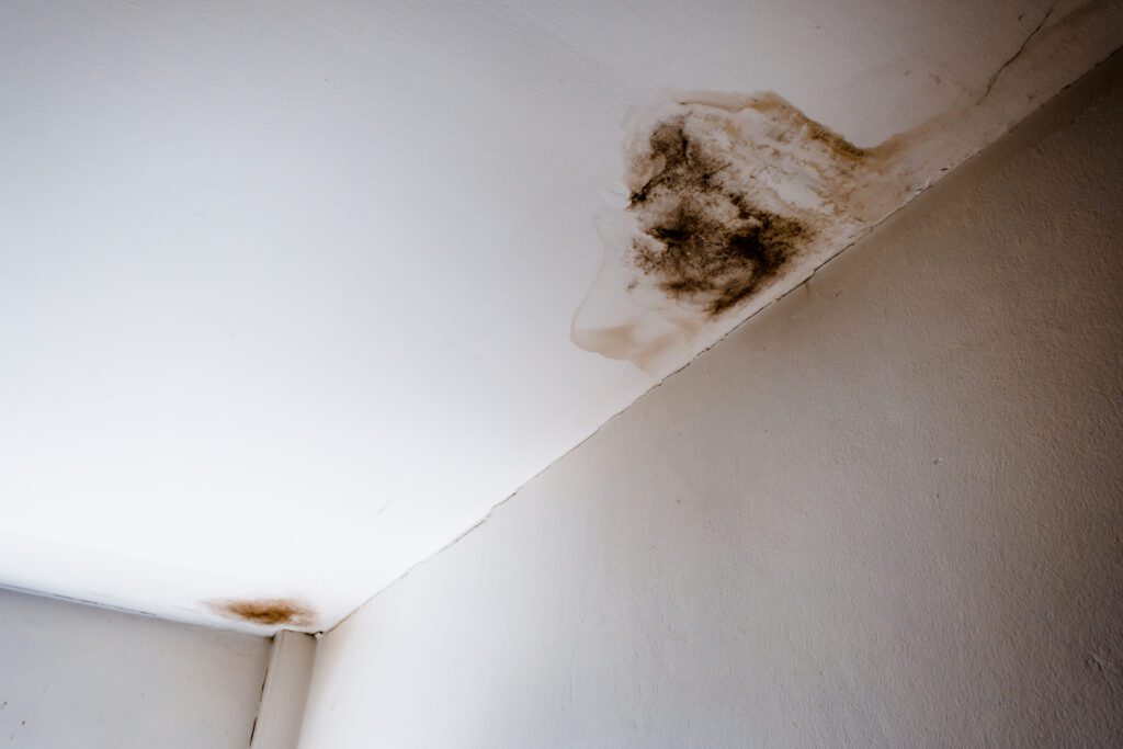 Water damage and mold on ceiling