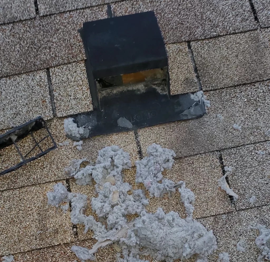 Dryer vent that blew lint on roof