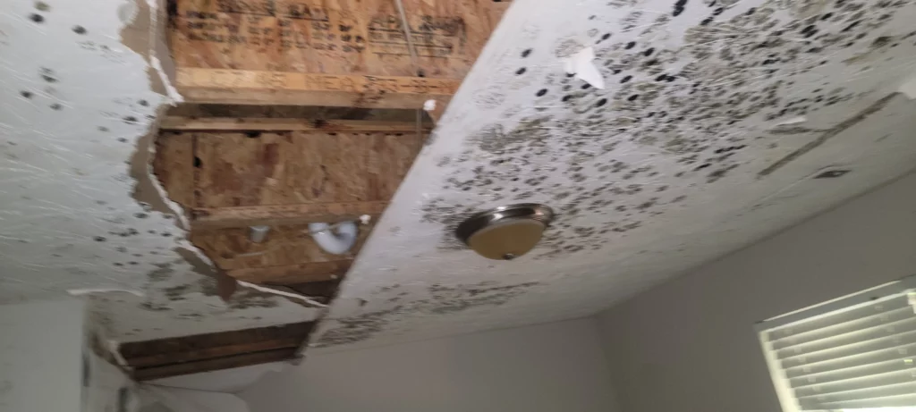 Fallen dry wall and mold on ceiling