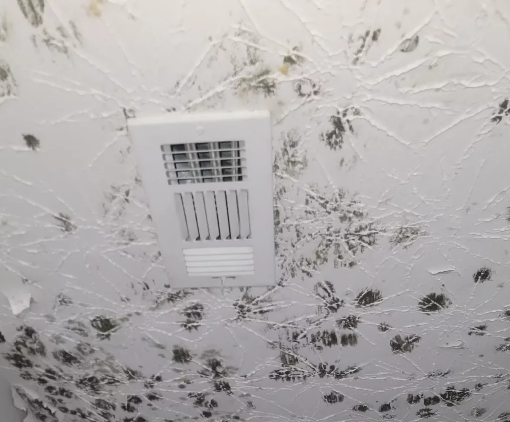 black mold on ceiling next to HVAC vent