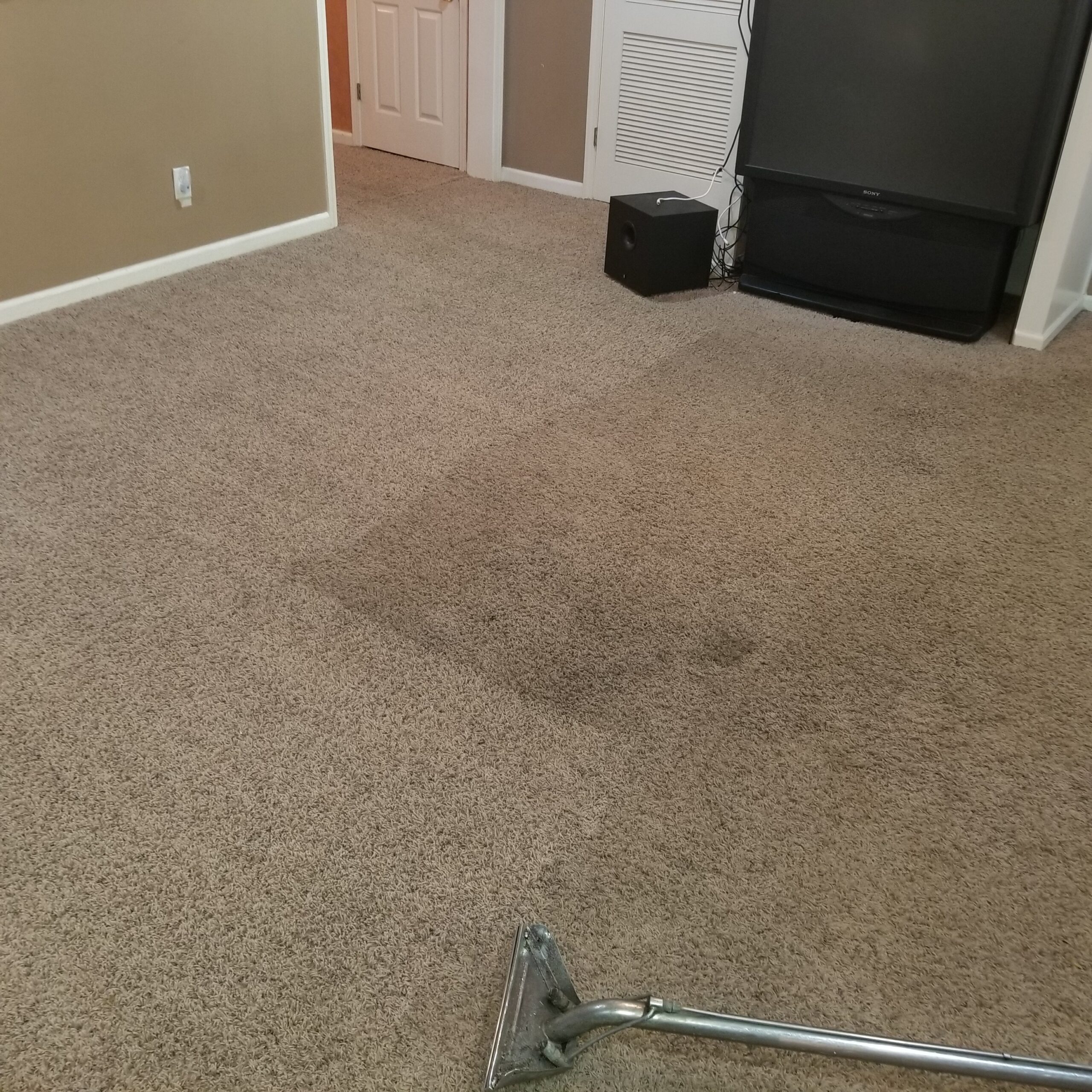 Hire Carpet Cleaner