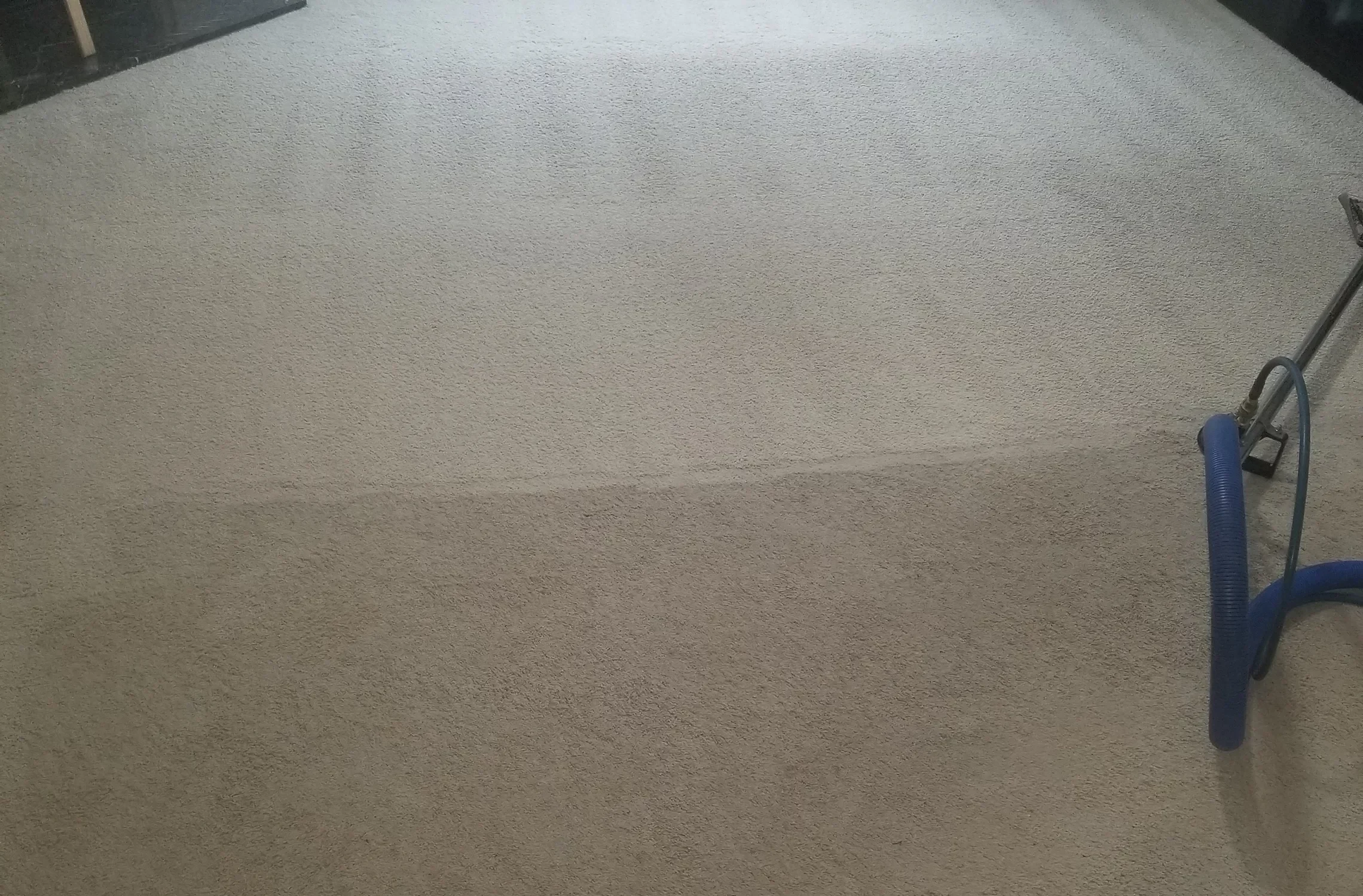 Carpet Stretching Services
