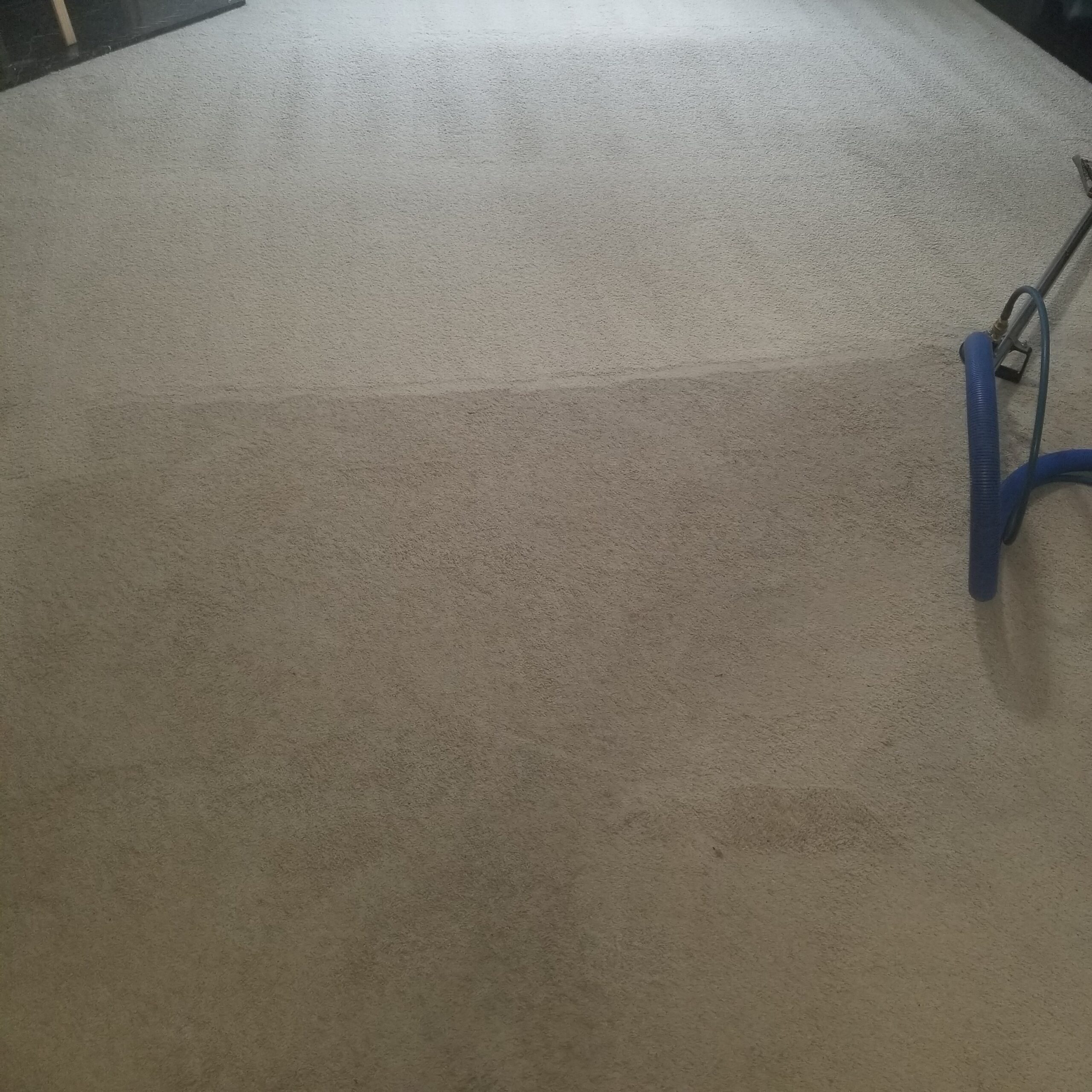 Carpets Cleaned Professionally