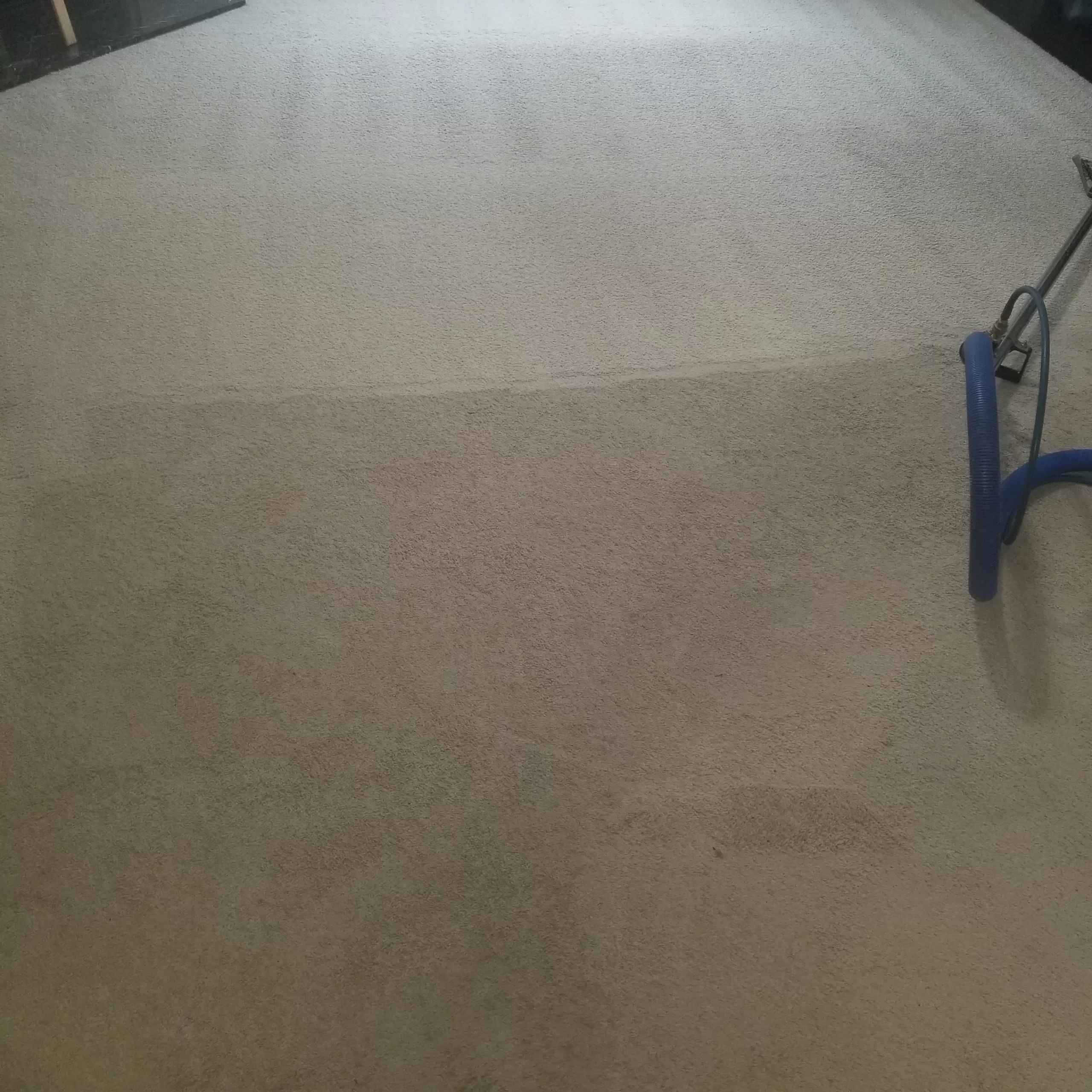 Carpet Cleaning Near Me Lawrenceville GA