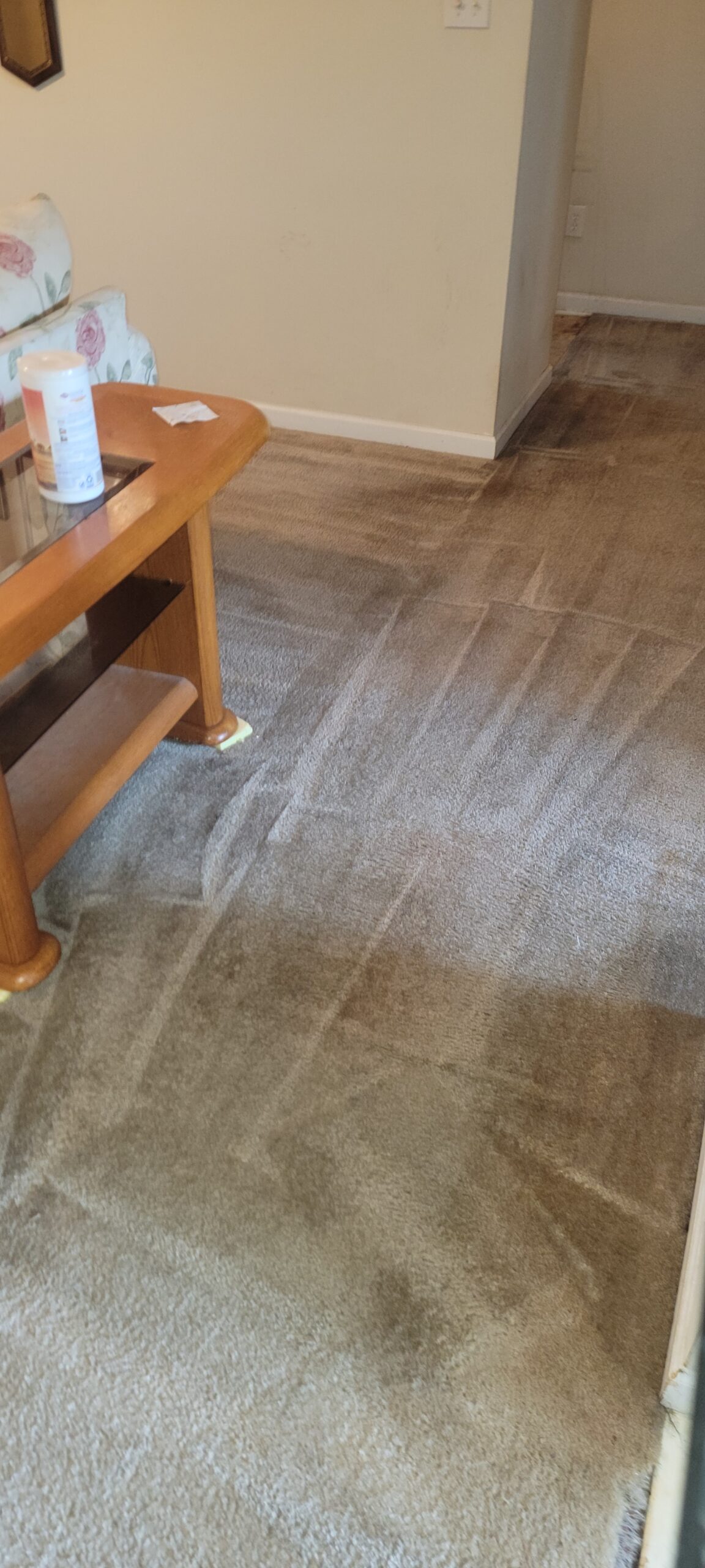 Carpet Cleaning Snellville GA