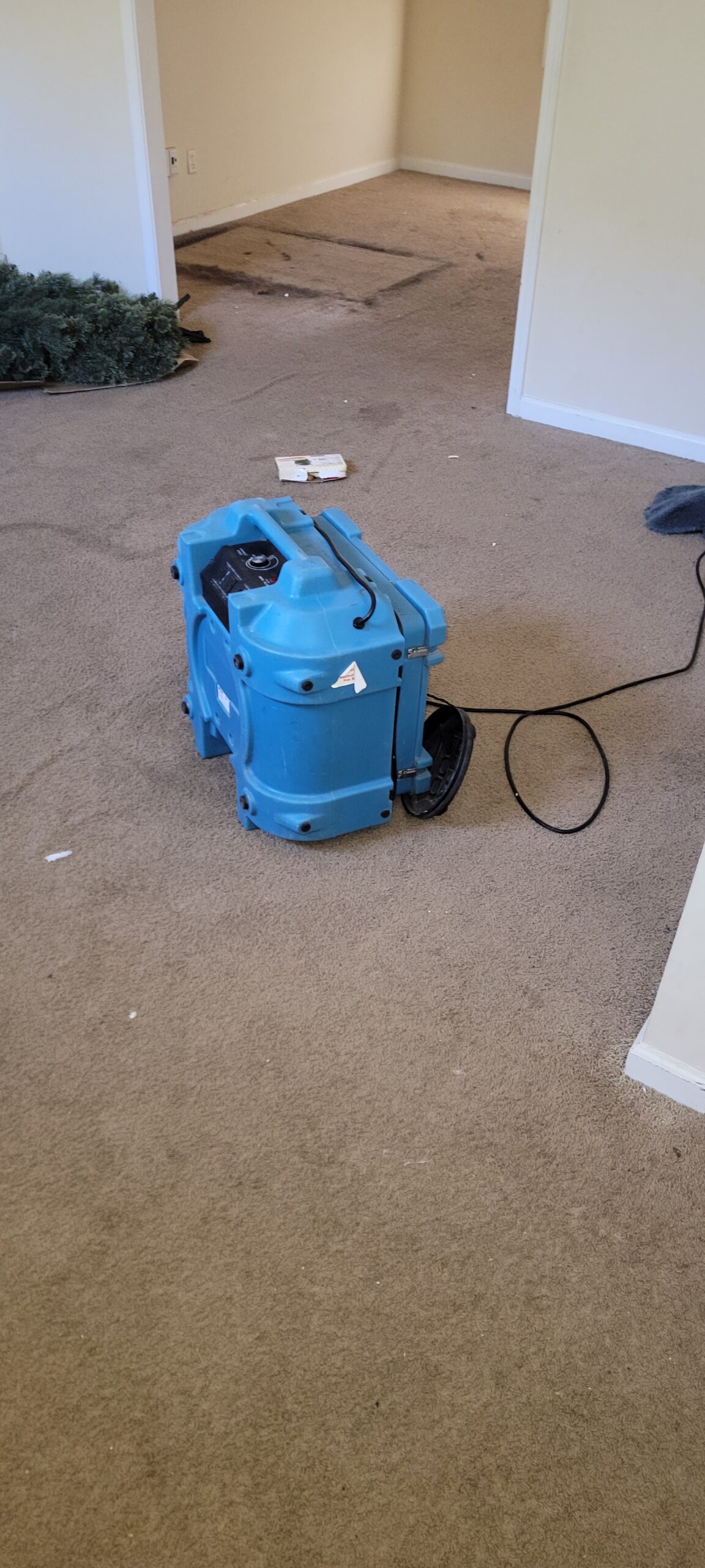 Duluth Carpet Cleaning