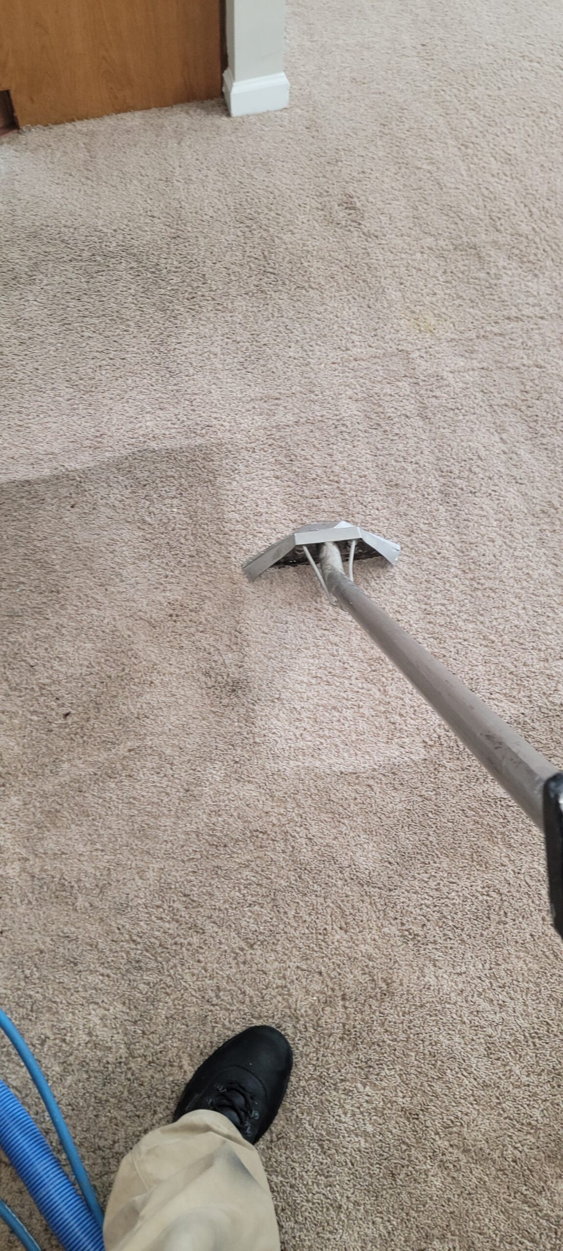 Carpets Cleaning Professionally